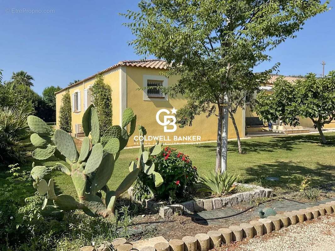 Villa provençale avec piscine et garage 83210 Solliès- Pont - photo 6