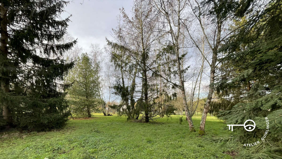 Terrain à MONTRIEUX-EN-SOLOGNE