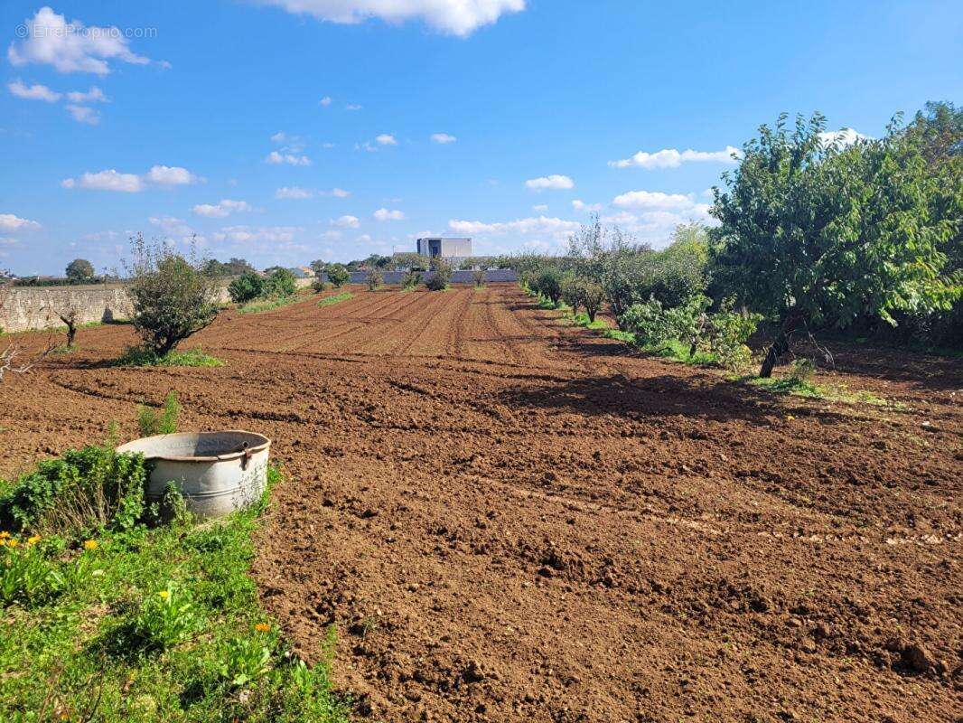 Terrain à SAINT-MARTIN-DE-FRAIGNEAU