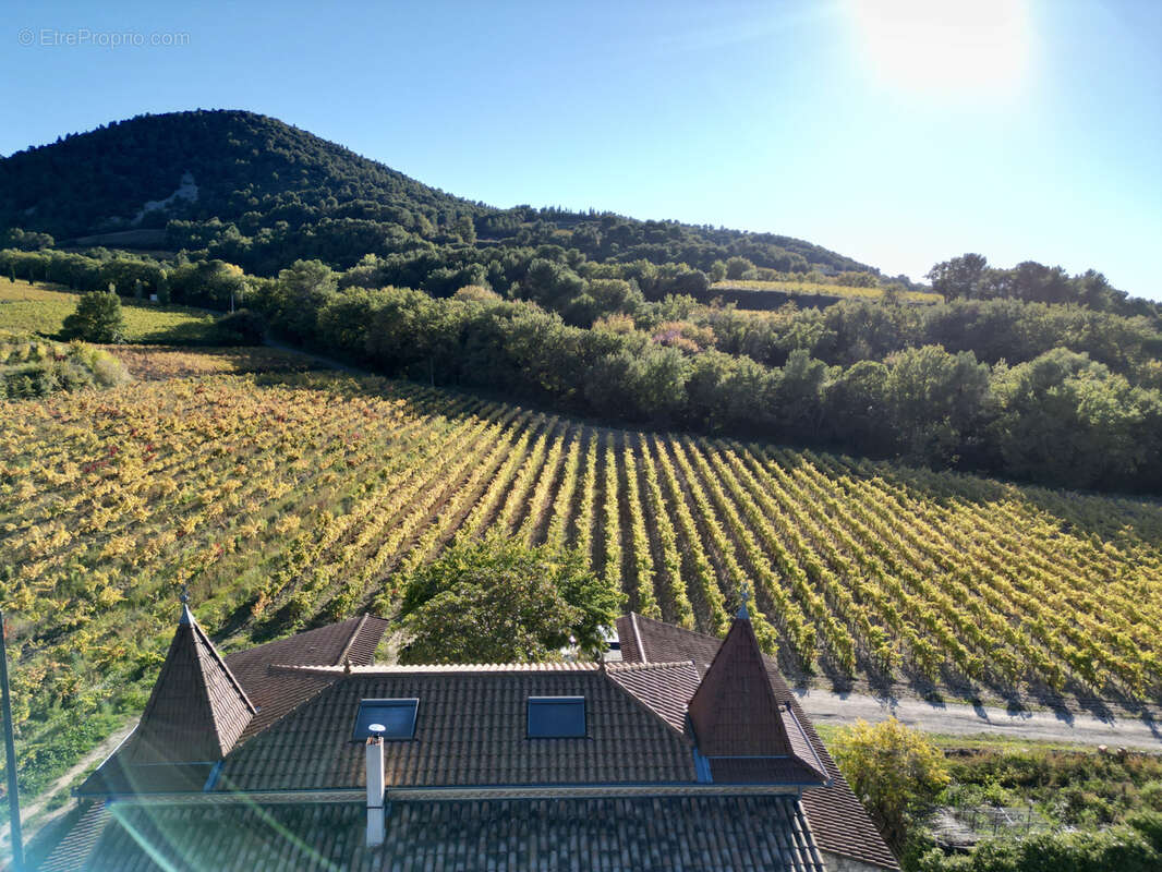 Domaine sur 13 hectares au coeur des dentellles de montmirail - cru gigondas - photo 5
