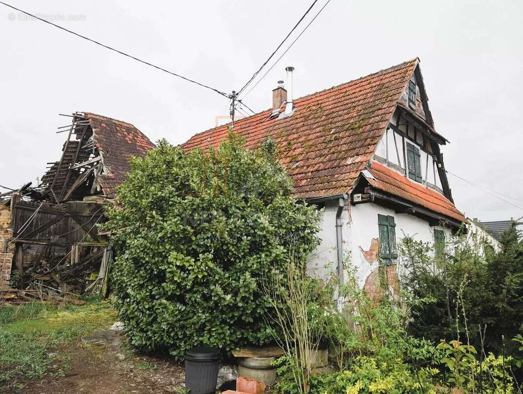 Maison à KUTZENHAUSEN