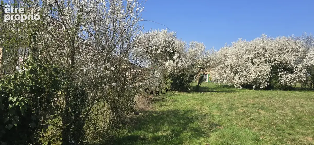 Photo Terrain à Sainte-Euphemie au prix de 245 000€