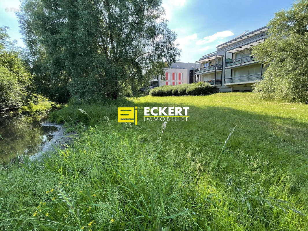 Appartement à LIPSHEIM
