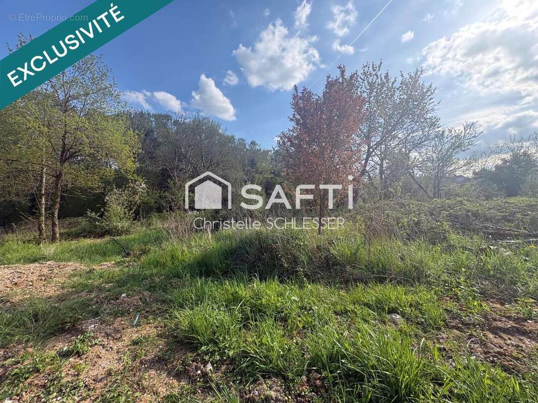 Photo 5 - Terrain à SAINT-NICOLAS-DE-PORT