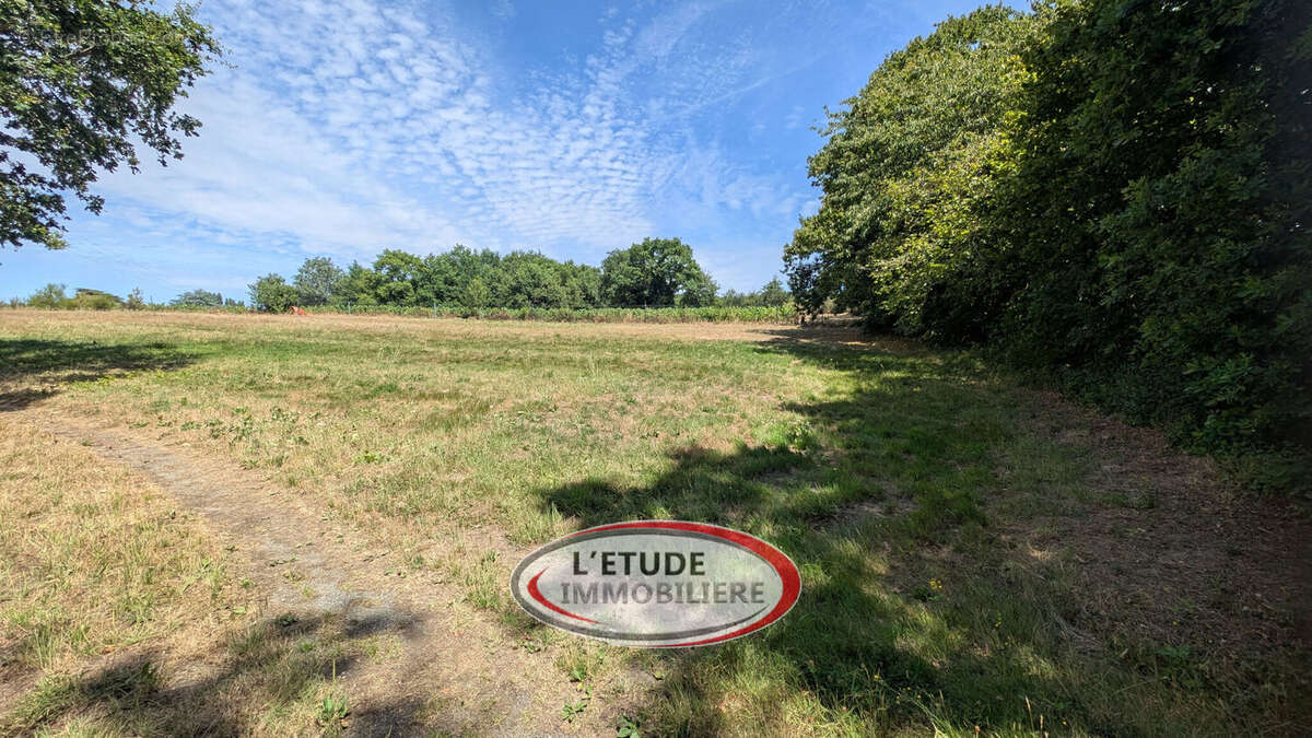Photo 5 - Terrain à CHATEAU-THEBAUD