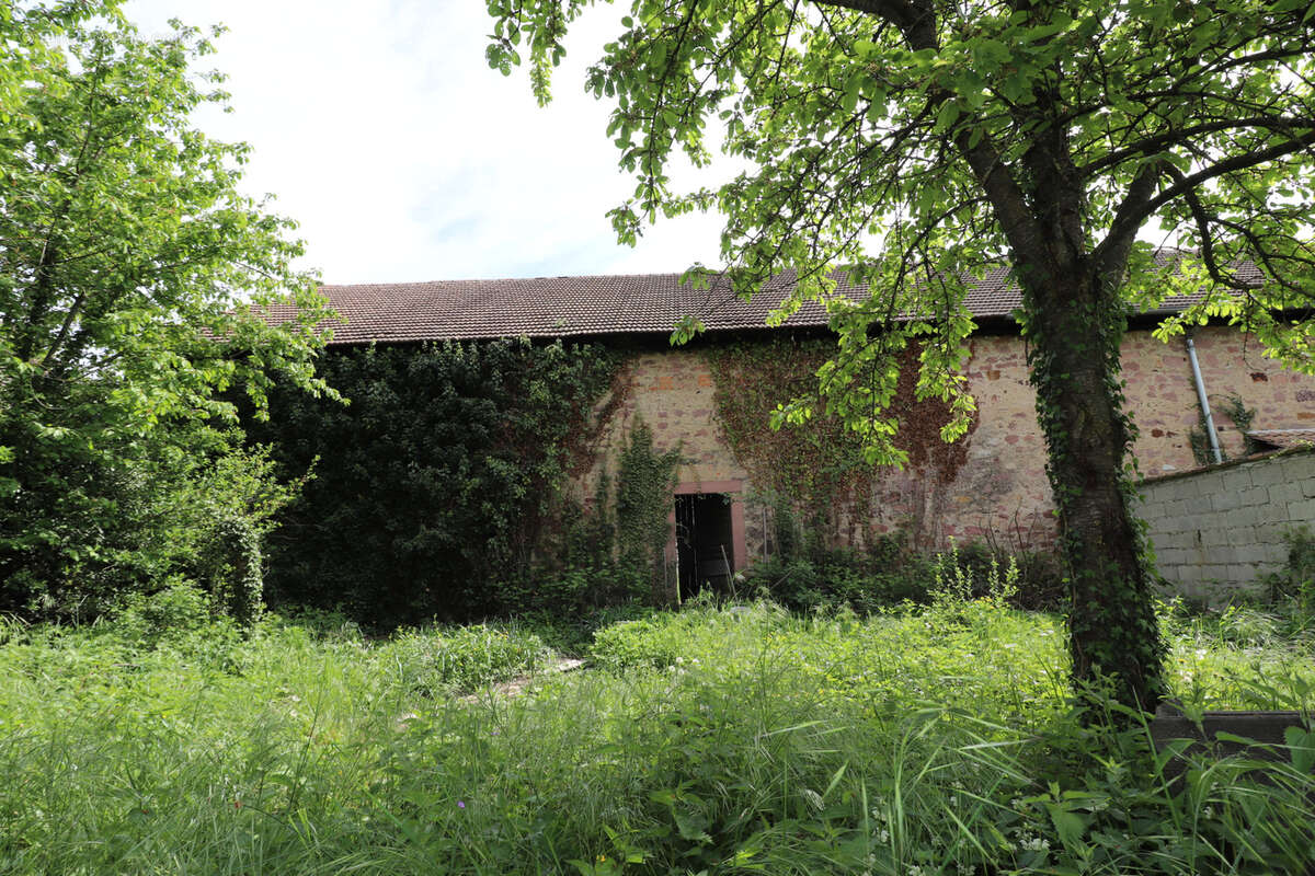 Maison à MERXHEIM