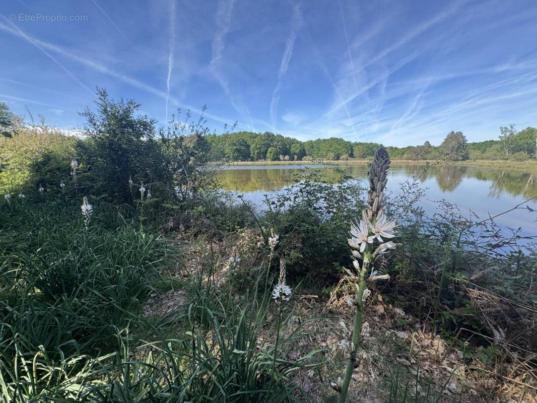 Terrain à PRISSAC