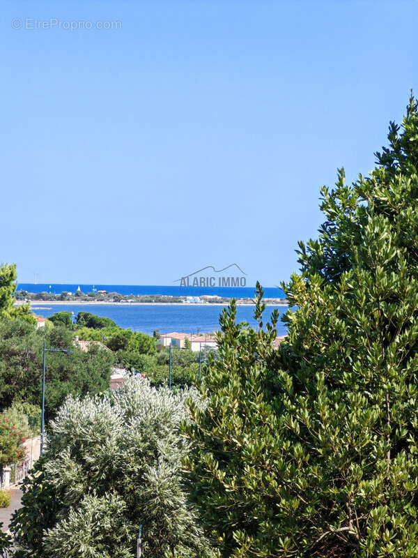 Villa 205 m2 habitables   espace principal + dépendances, aperçu mer/étang - photo 2