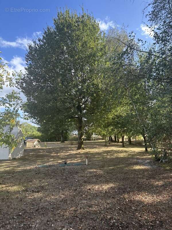 JARDIN ARBORÉ - Maison à SADIRAC