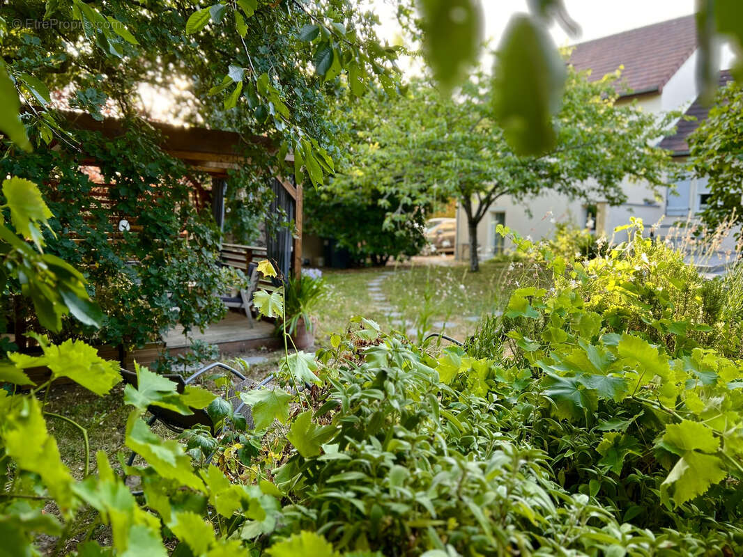 Maison à AMILLY