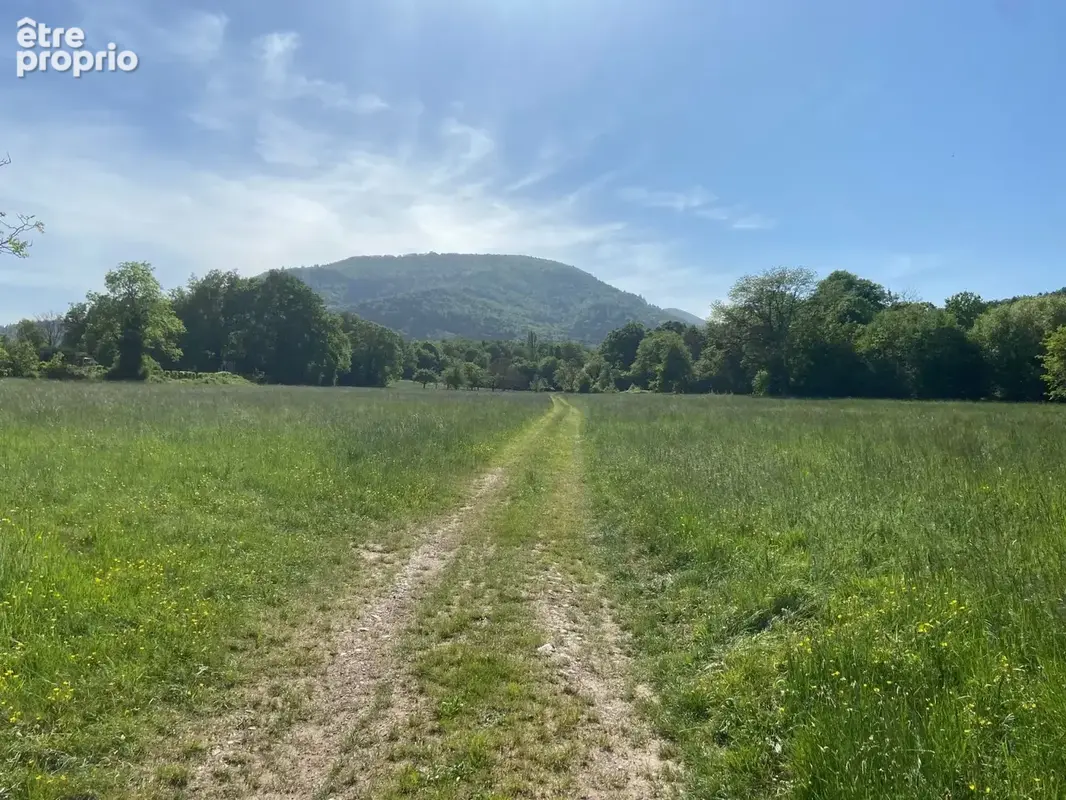 Terrain à WUENHEIM