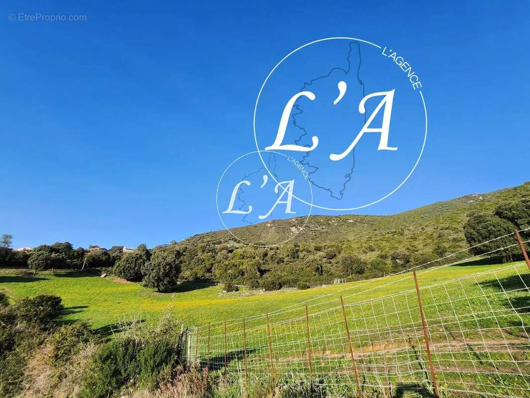 Terrain à BASTELICACCIA
