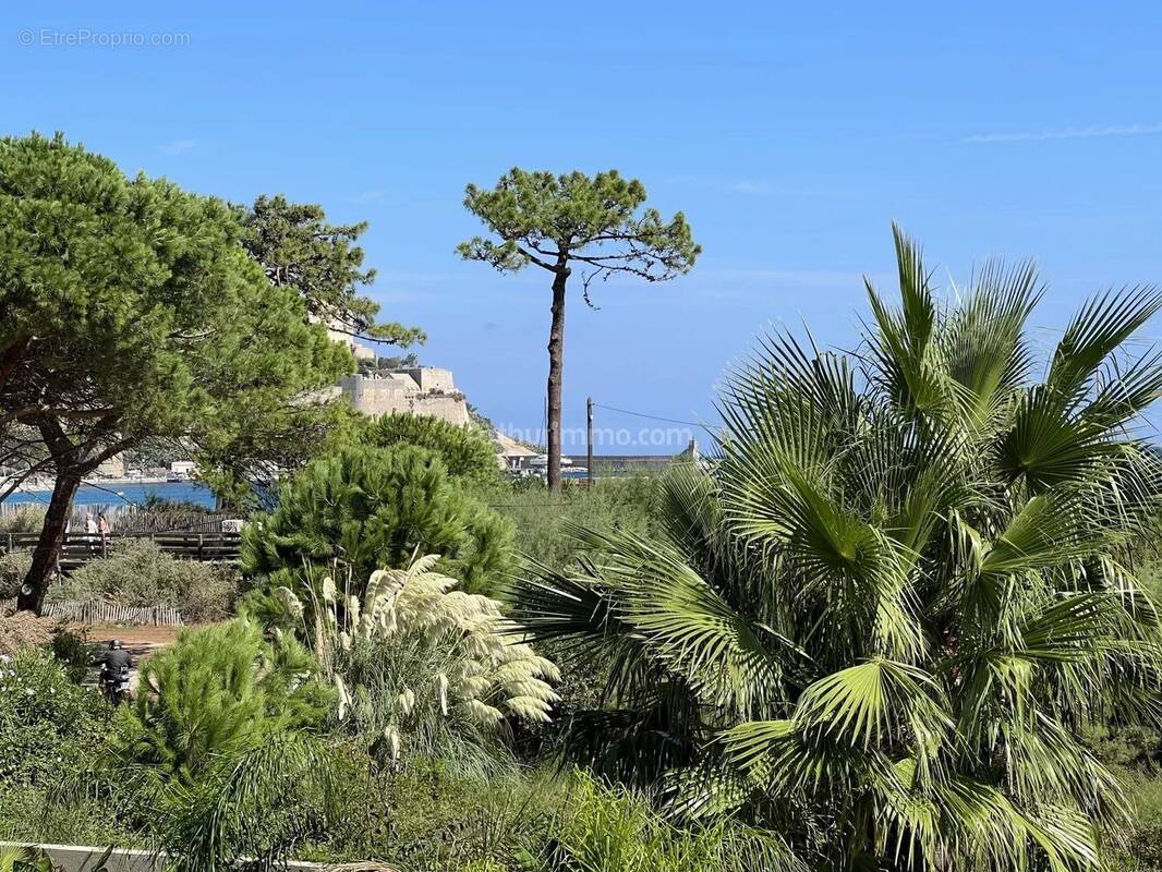 Appartement à CALVI