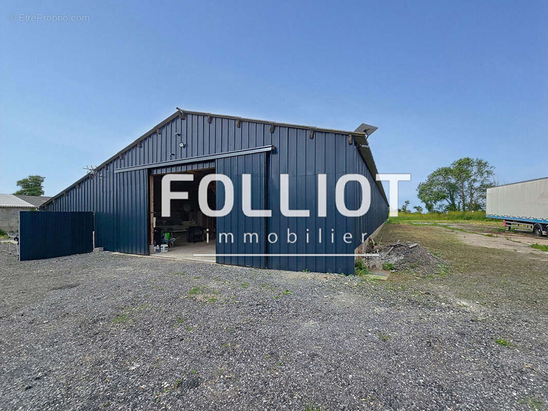 Commerce à LONGUEVILLE