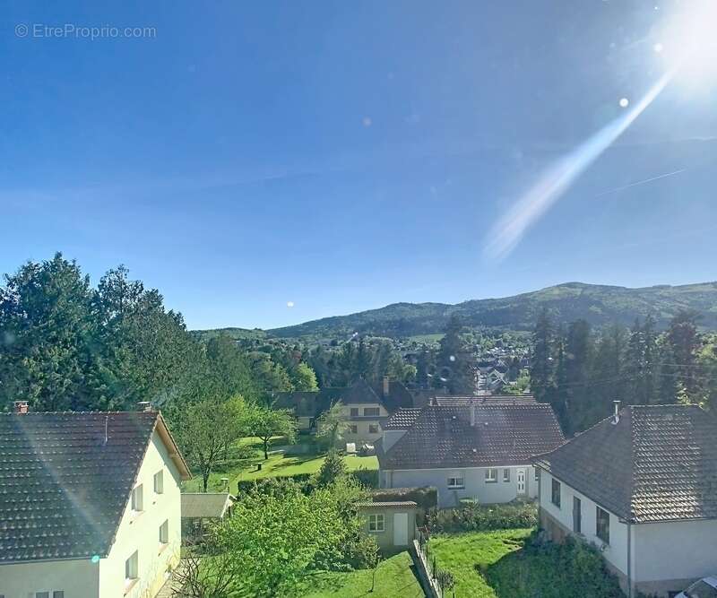Propriété de caractère de 340 m² sur un terrain arboré de 35,5 ares avec piscine couverte MASEVAUX NIEDERBRUCK - photo 6