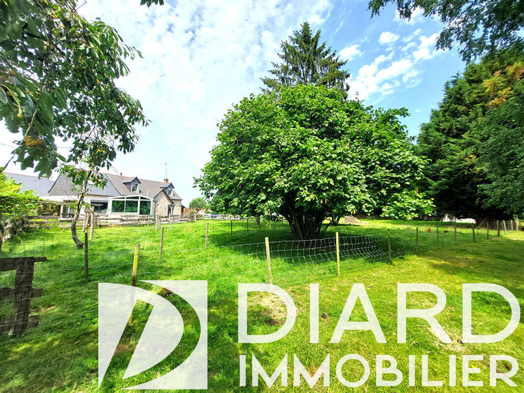 Maison 140 m² - Campagne ETRELLES - Terrain de 3400 m² - photo 3