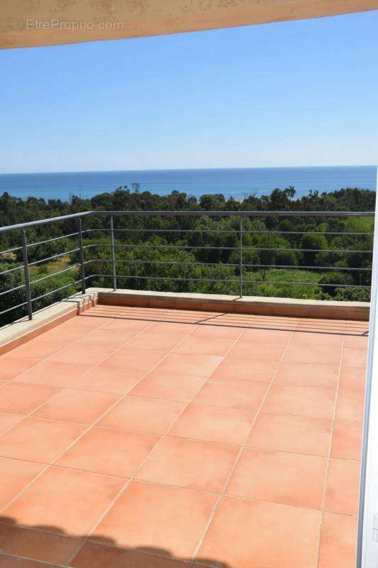 Maison de 8 pièces de 234 m² à Sari-Solenzara - photo 22
