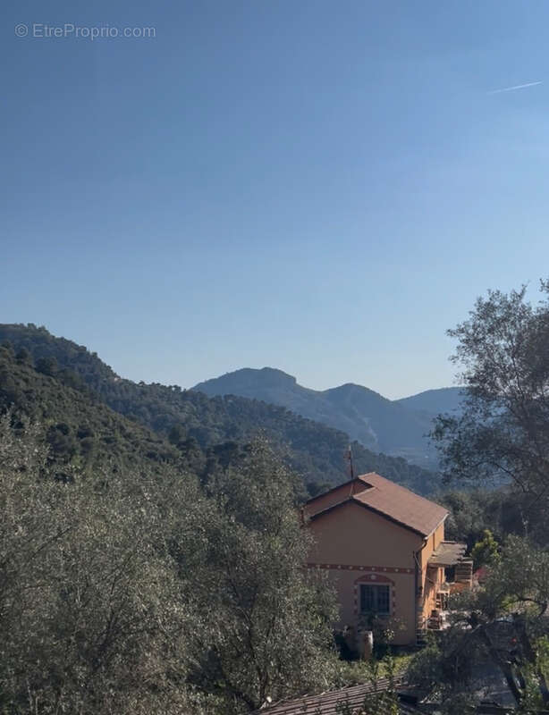 Havre de Paix-Propriété en Italie - A 15 minutes de Vintimille- Maison dans une Oliveraie de 8000m2-Potentiel - photo 23