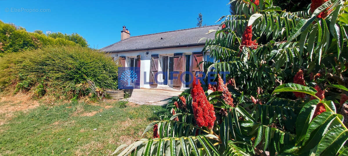 Maison Druye 5 pièce(s) 90 m2 - photo 2