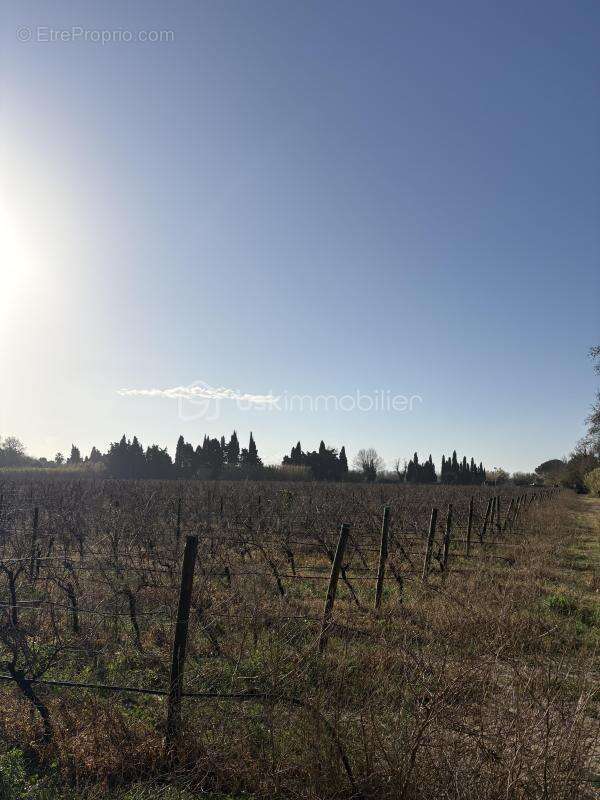 Terrain à VILLELONGUE-DE-LA-SALANQUE