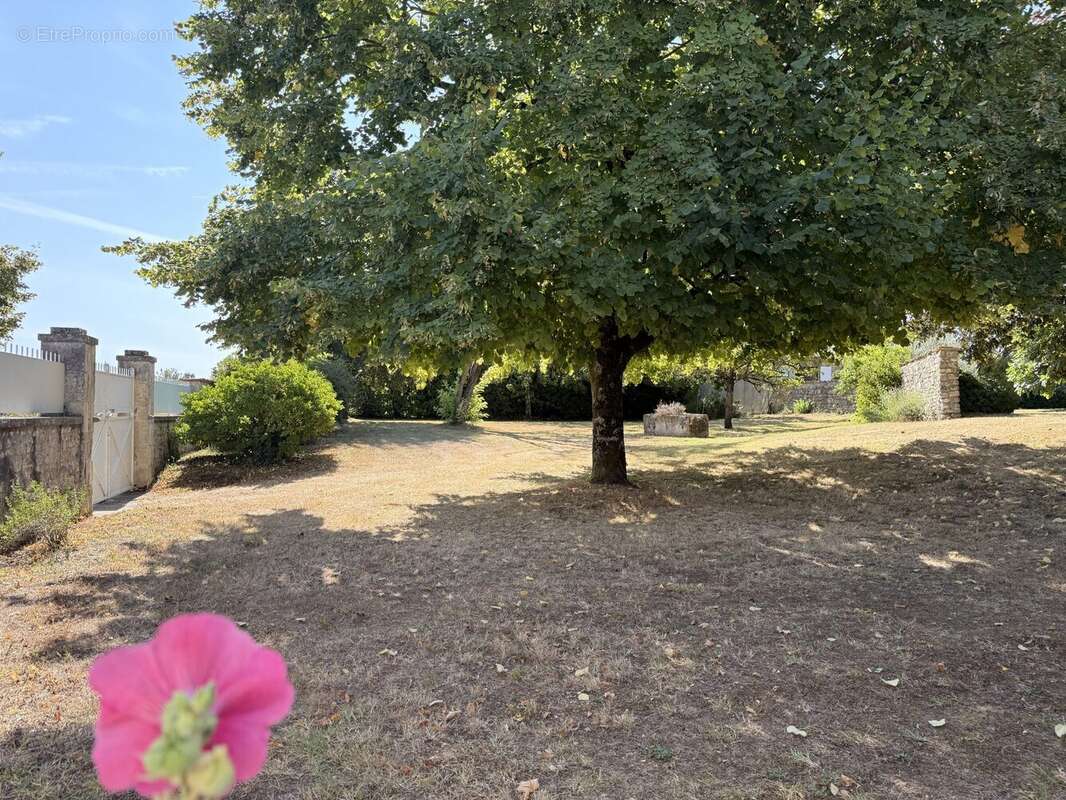 Maison 140 m² à Arces  - photo 3