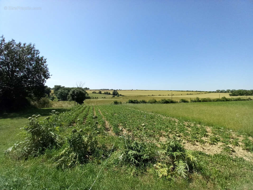 Propriete corps de ferme avec 39 000 m2 de terrain - photo 16