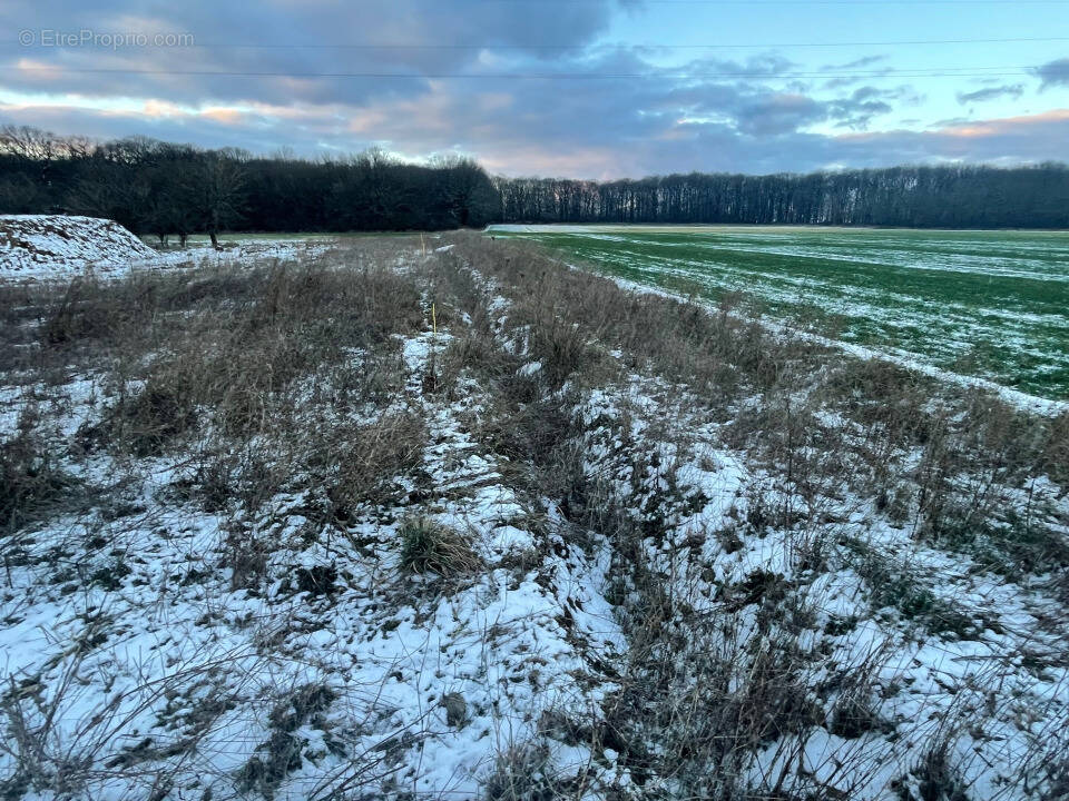 Terrain 607 m² à Metzeresche  - photo 1