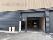 Photo 1 - Commerce à MOISSY-CRAMAYEL