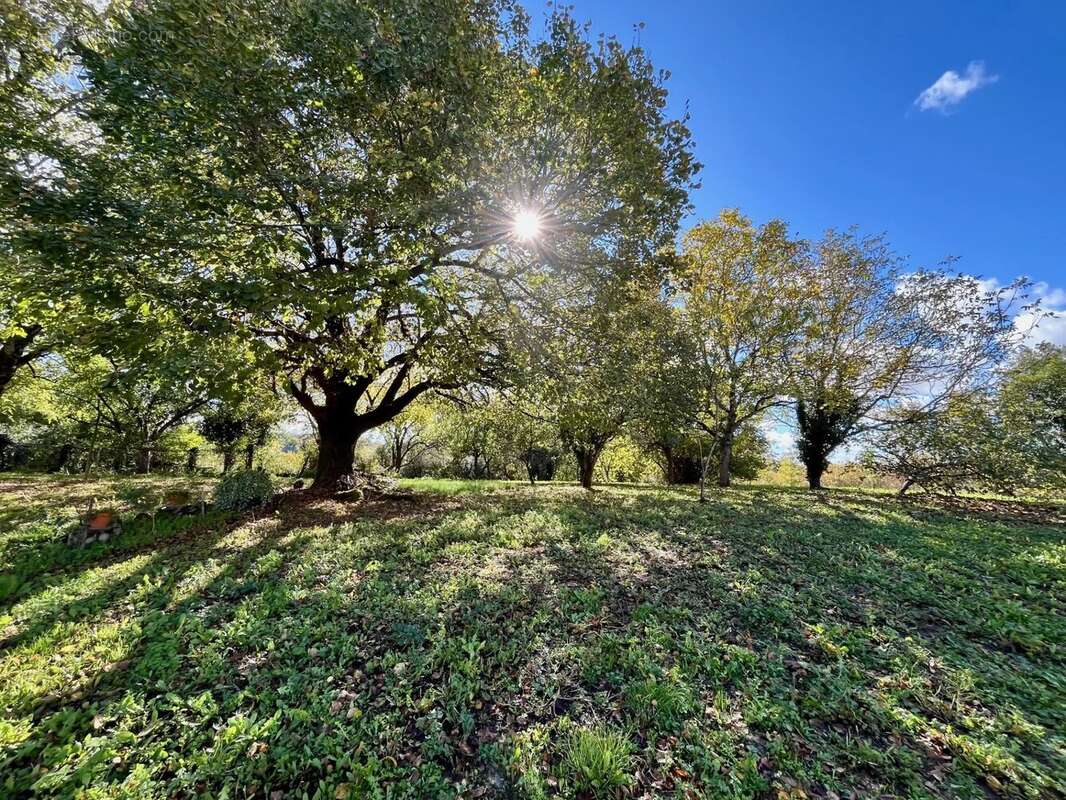 Maison à BOUTEILLES-SAINT-SEBASTIEN