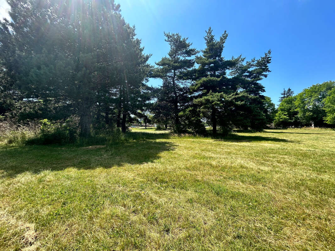 Terrain à SAINT-SAUVEUR-CAMPRIEU