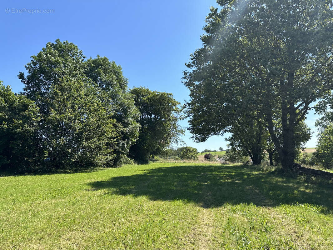 Terrain constructible de 6363 m2 sur la commune d'Uriménil - photo 7