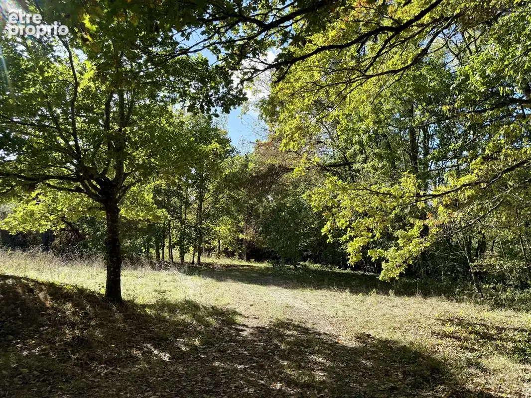 EXCLUSIVITÉ - Maison au calme, au coeur du Perche - photo 4