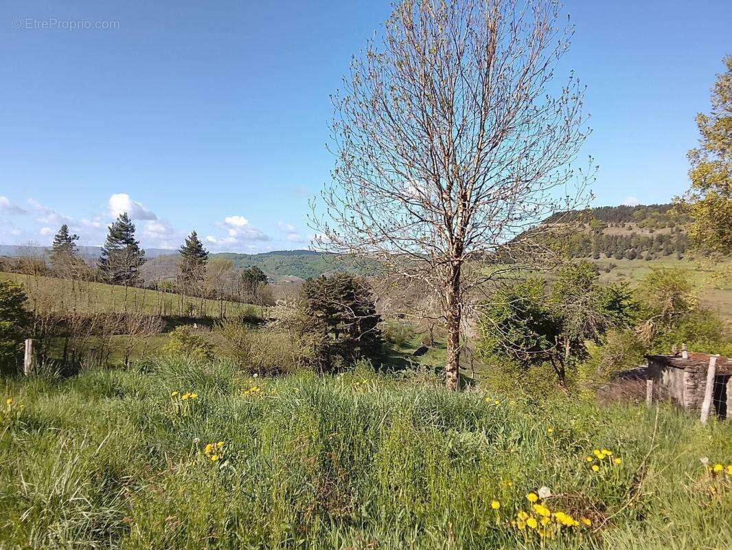 Maison à BARRE-DES-CEVENNES
