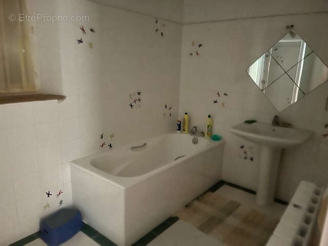 Entre nerac et condom - photo 11