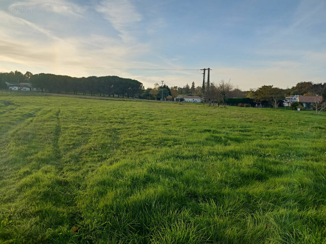 Terrain à COURPIGNAC