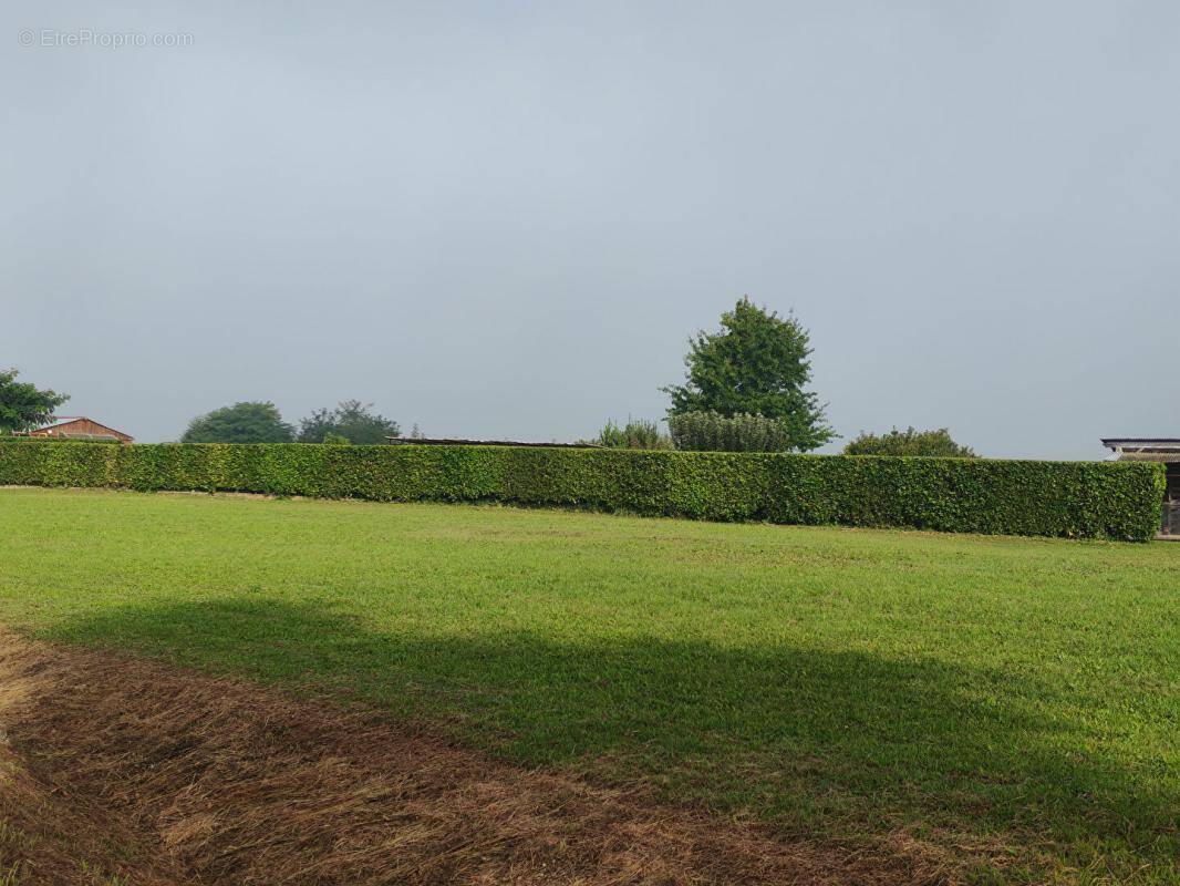 Terrain à HINX