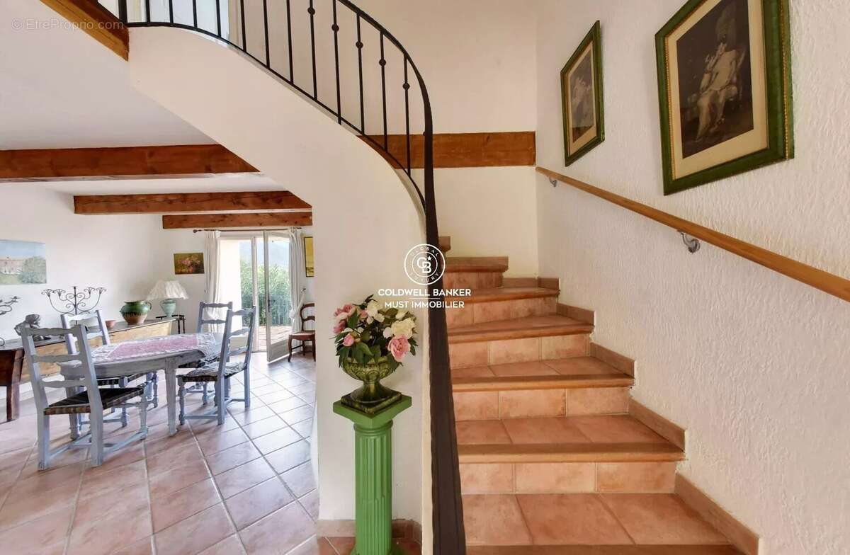 MAS de 295m2 Céret  vue Canigou sur près de 4 Ha - photo 19