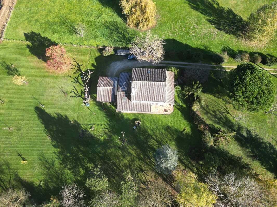 Maison à TOMBEBOEUF