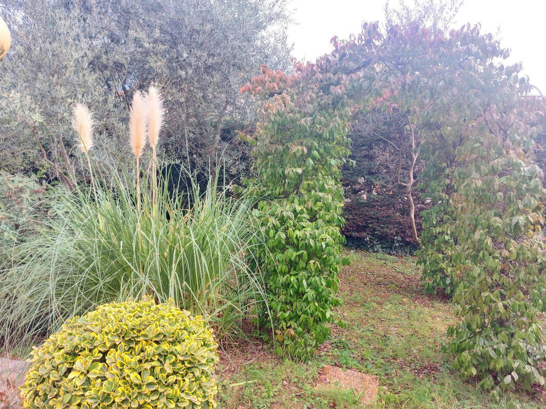 Maison à CASTELNAU-LE-LEZ