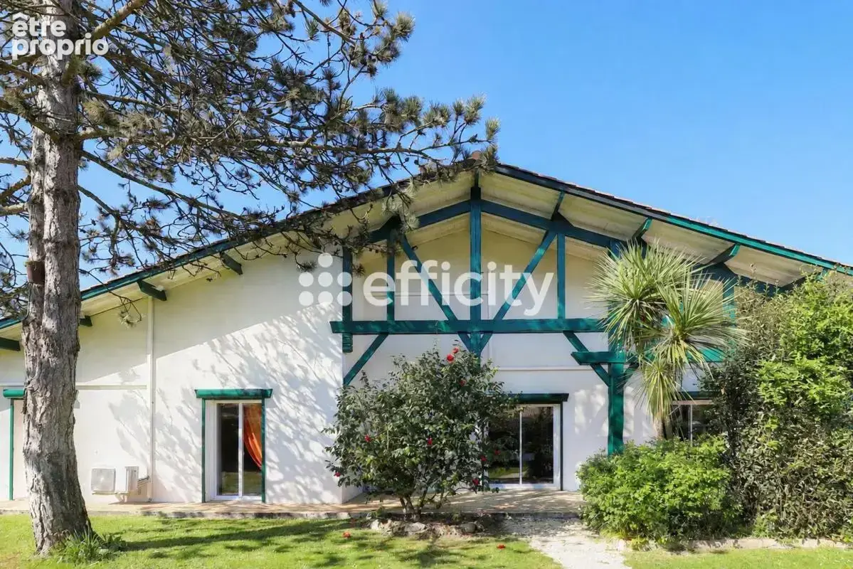 Maison 8 pièces 255 m² à vendre à Lege-Cap-Ferret (33950) - photo 18