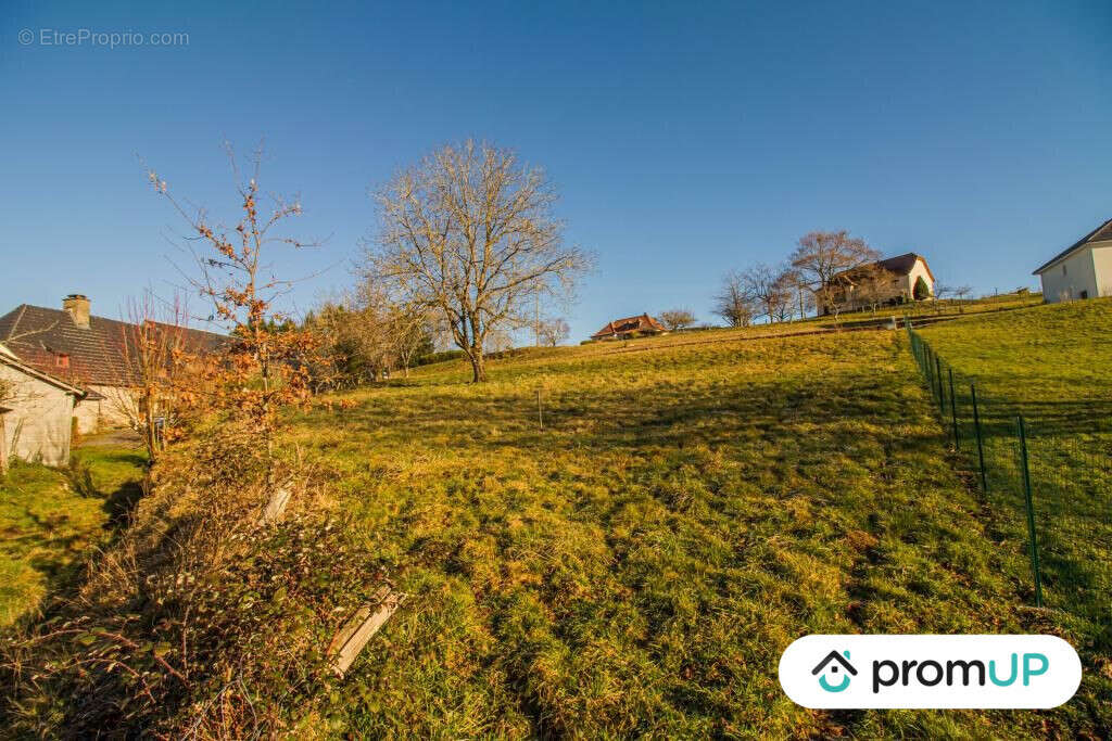 Terrain à SAINTE-FORTUNADE