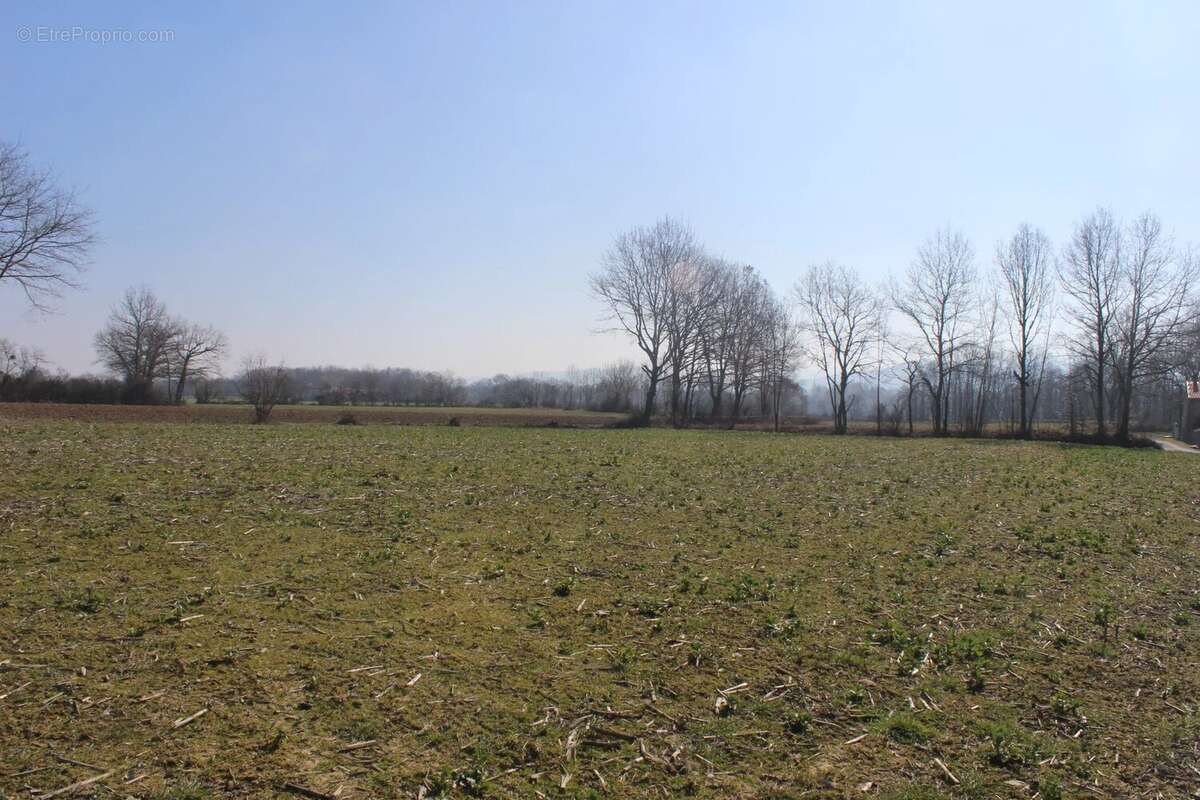 Terrain à MONTREJEAU