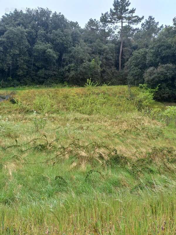 Photo 2 - Terrain à LA TRANCHE-SUR-MER