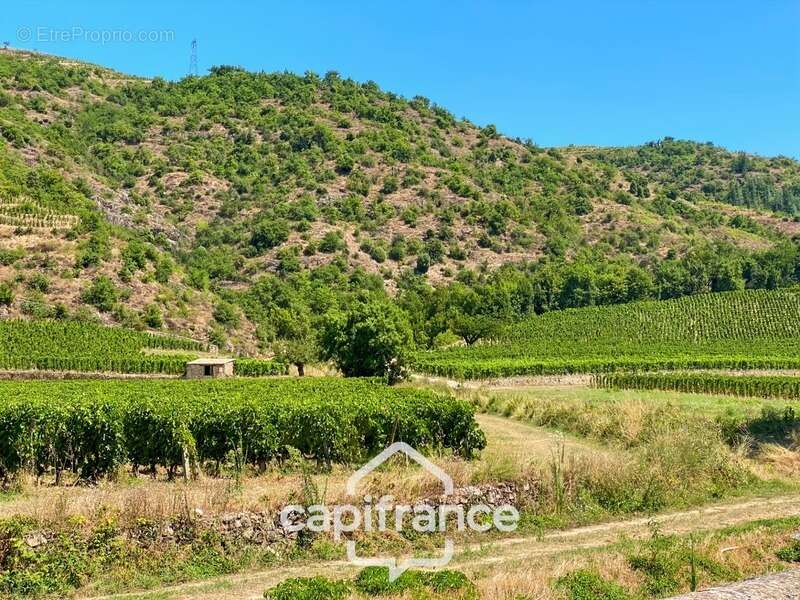 Maison d'environ 81 m² avec sous-sol aménageable de 40 m2 et son jardin de 418 m² – Crozes-Hermitage (26) - photo 29