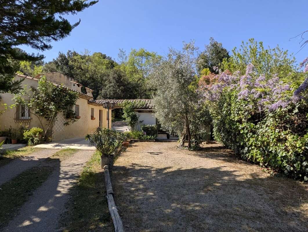 Maison à ROQUEFORT-LES-PINS