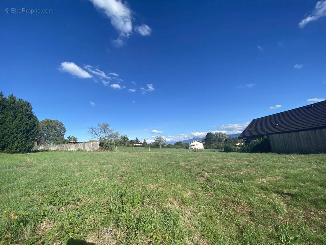 Terrain à MESSERY