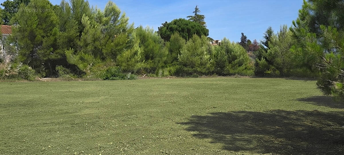 Terrain à MARSEILLETTE