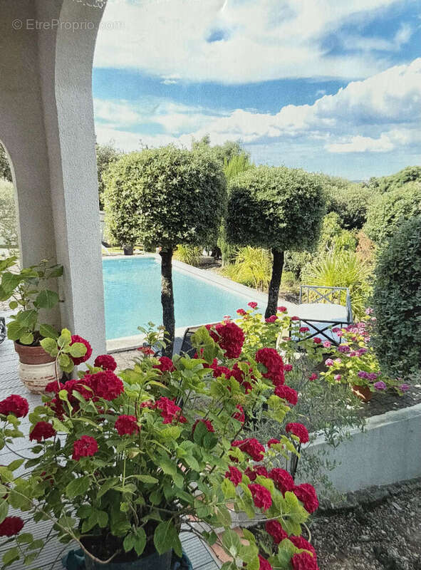 Viager occupé , Belle maison provençale avec piscine  Villeneuve-lès-Avignon - photo 4