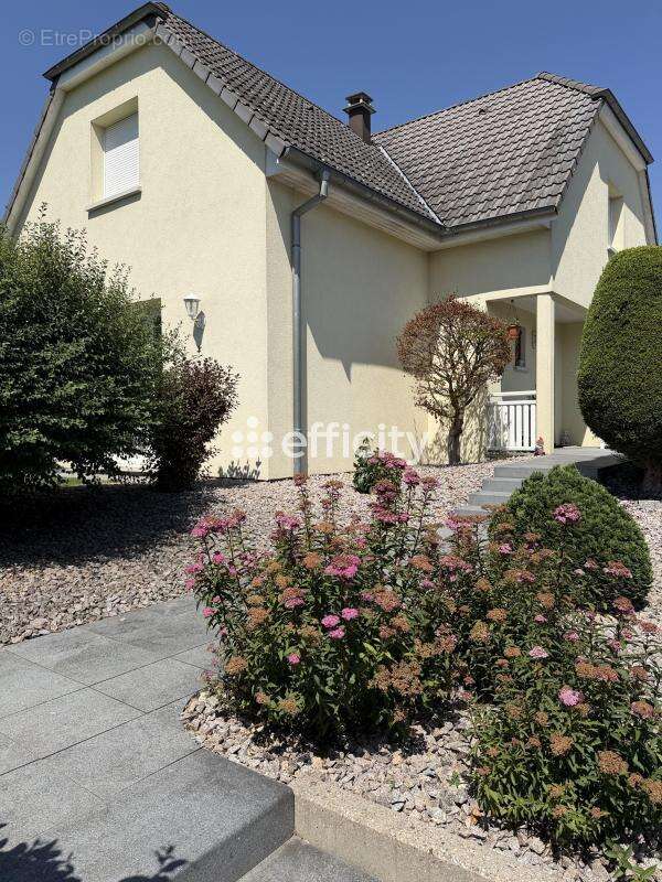 Maison à BARTENHEIM