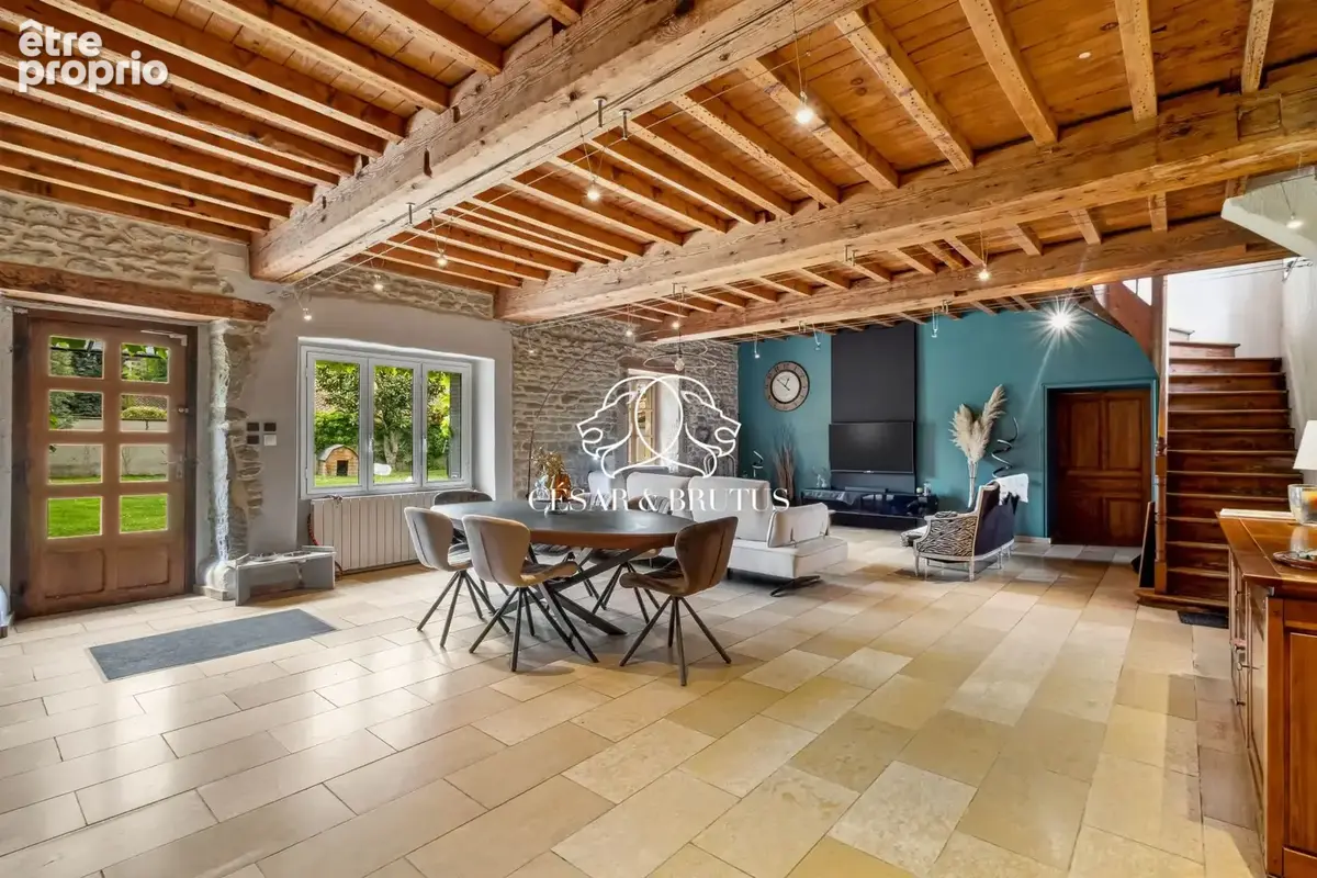 Maison 7 pièces 265 m² à vendre à Eyzin-Pinet (38780) - photo 7